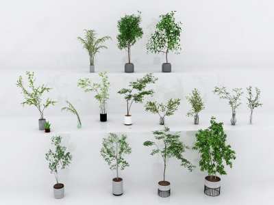 盆栽3D模型下载